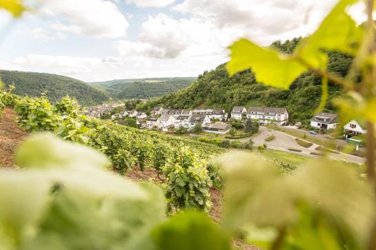 Hotel Nora Emmerich 12