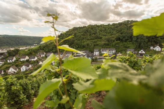 Hotel Nora Emmerich 20