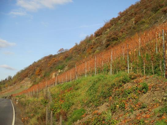 Hotel Restaurant Burgschänke 3