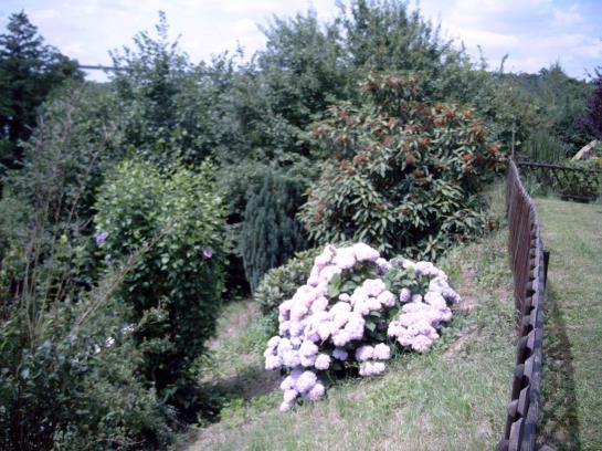 Hotel Restaurant Burgschänke 5
