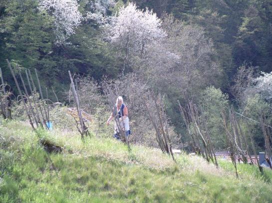 Hotel Restaurant Burgschänke 9