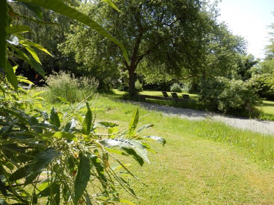 Pensión Landgasthof Zum Schwan 4