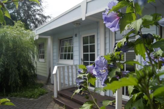 Hotel Dresden Domizil 3