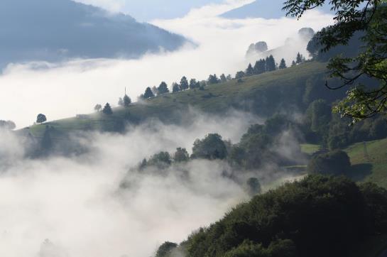 Hotel Wiedener Eck 13