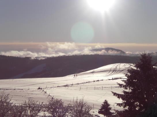 Hotel Wiedener Eck 2