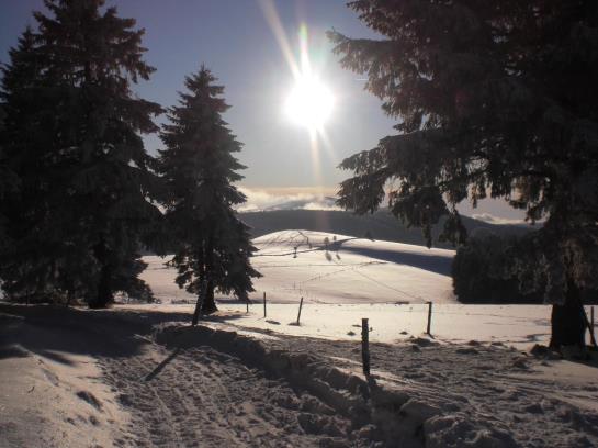 Hotel Wiedener Eck 7