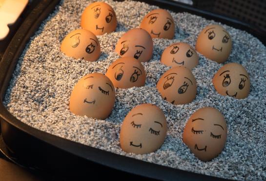 Hotel Forsthaus Grüna 2