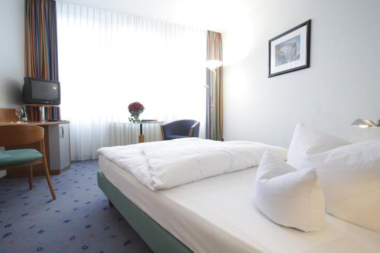 Hotel Artes Business 8