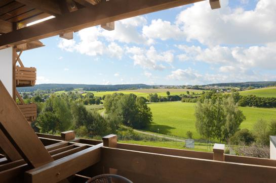 Hotel Waldachtal Business & Balance 13