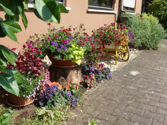 Hotel Am Schönbuchrand 16