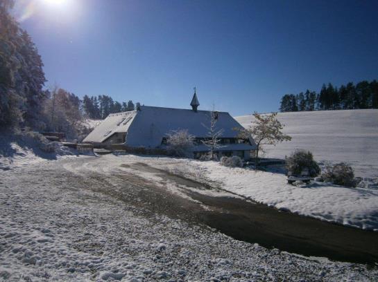 Pension Landgasthof Berghof 19