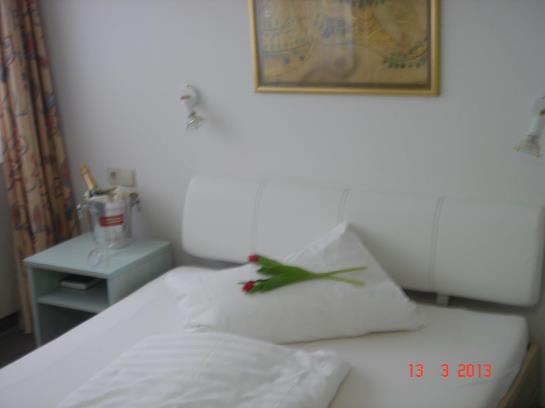 Hotel Vaihingen Garni 3
