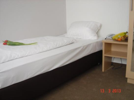 Hotel Vaihingen Garni 5