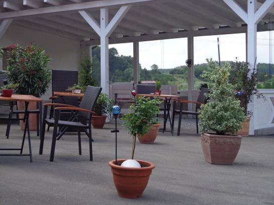 Pension Landgasthof Unger 11