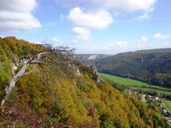 Pension Landgasthof Unger 12