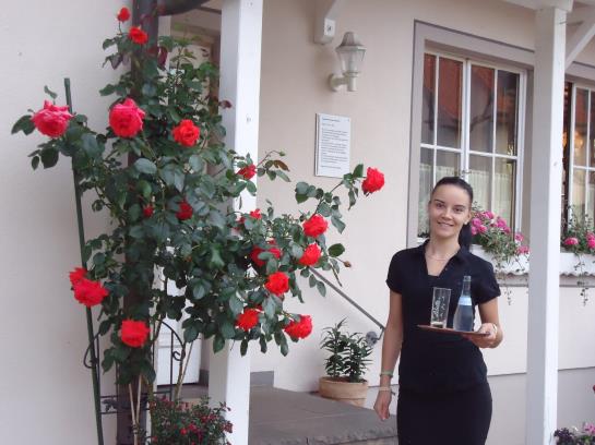 Pension Landgasthof Unger 18