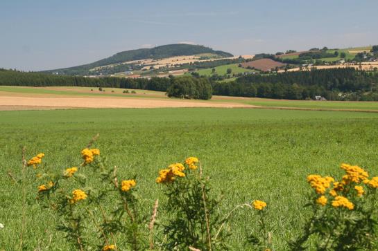 Hotel Goldene Sonne 6