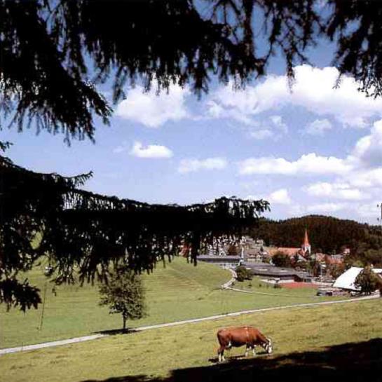 Landhotel Rebstock 5