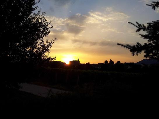 Pension Kleine Kalmit Gaestehaus 5