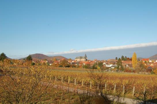 Pension Kleine Kalmit Gaestehaus 9