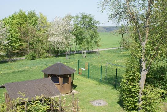 Pension Waldesblick Ferienhof & Gasthaus 11