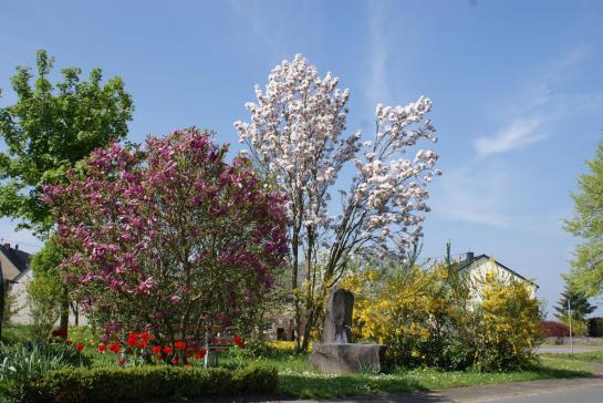 Pension Waldesblick Ferienhof & Gasthaus 4