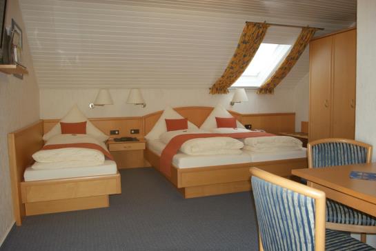 Pension Waldesblick Ferienhof & Gasthaus 8