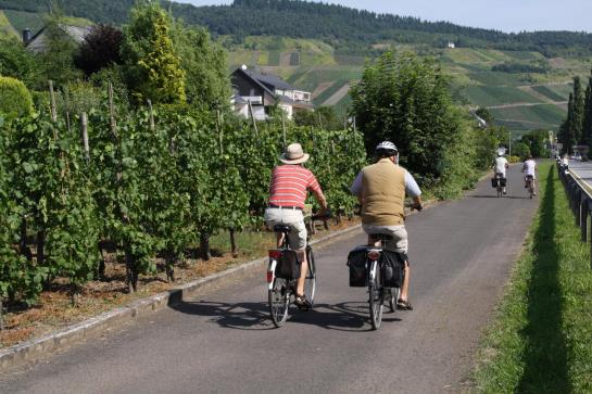 Hotel Weinhof Gassen 6