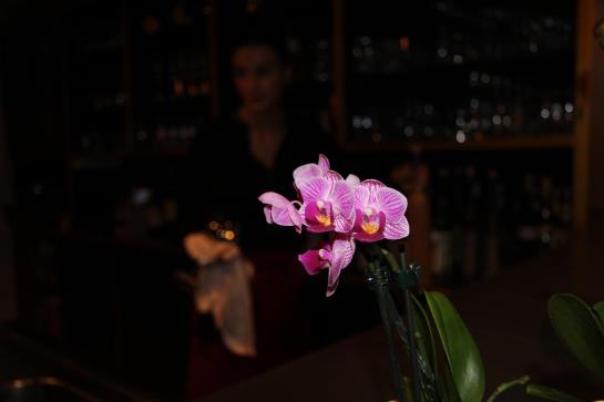 Hôtel Roemerstuben 5