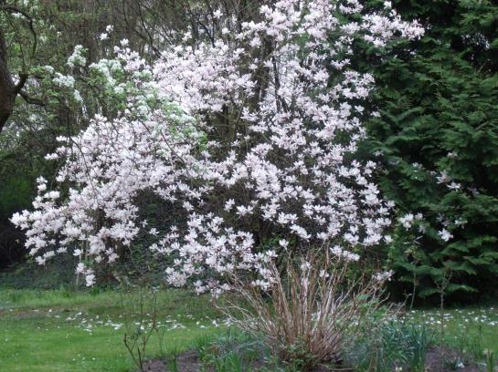 Bed & Breakfast Pension Marienhof 1