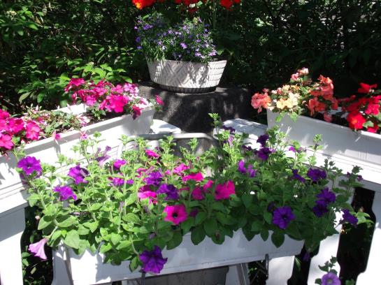 Bed & Breakfast Pension Marienhof 4