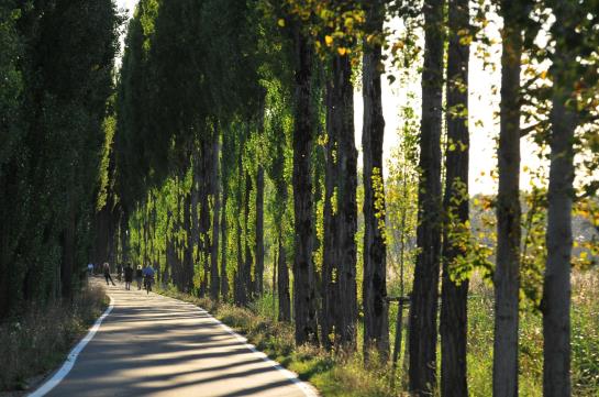 Hotel Mein Inselglueck 13