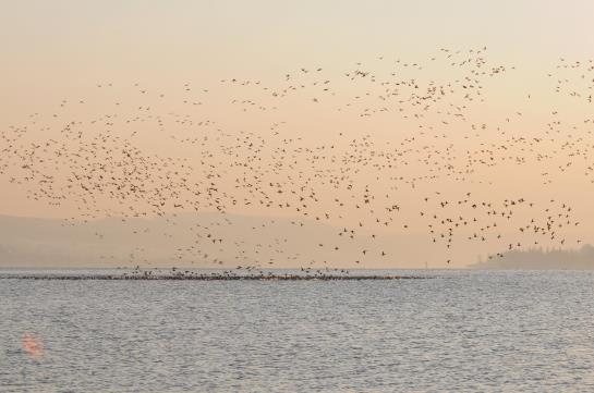 Hotel Mein Inselglueck 9