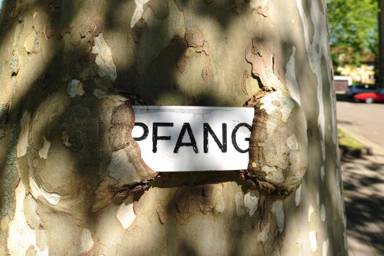 Hotel Bildungshaus St Bernhard 13