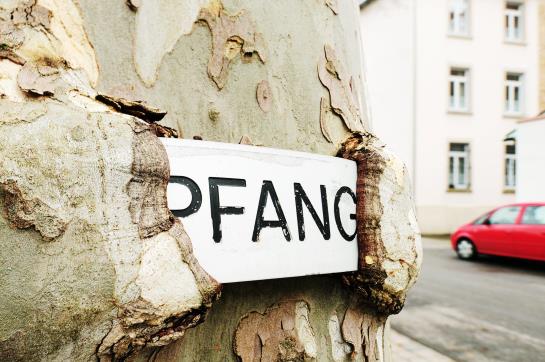 Hotel Bildungshaus St Bernhard 2