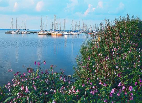 Dümmerhotel Strandlust 10