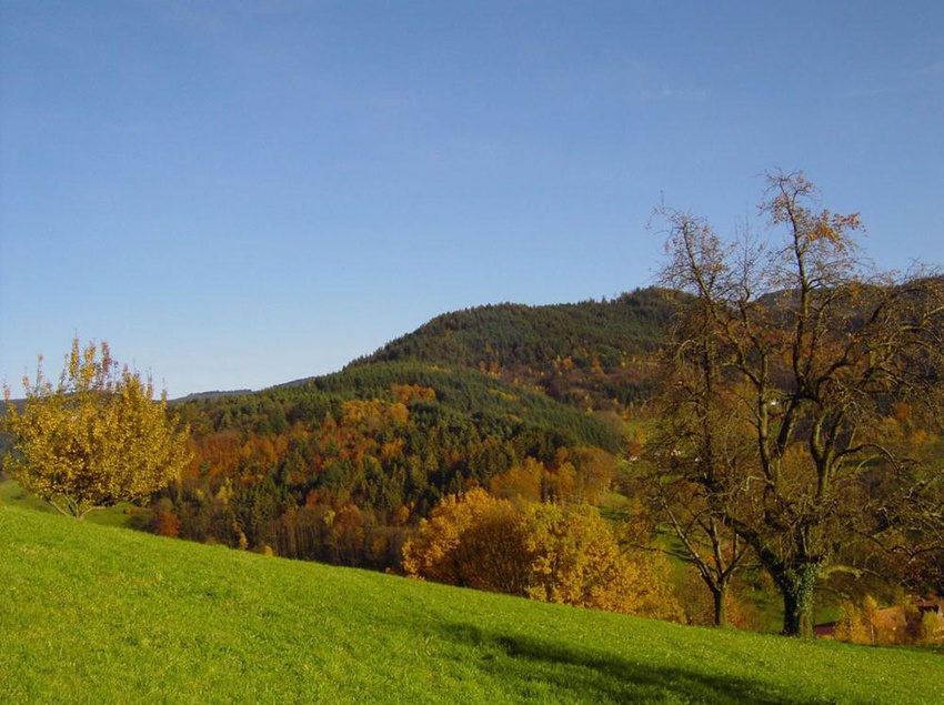 Hotel Pension Breig 2