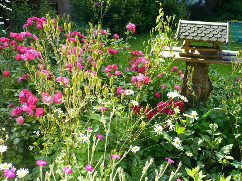 Hotel Pension Breig 4