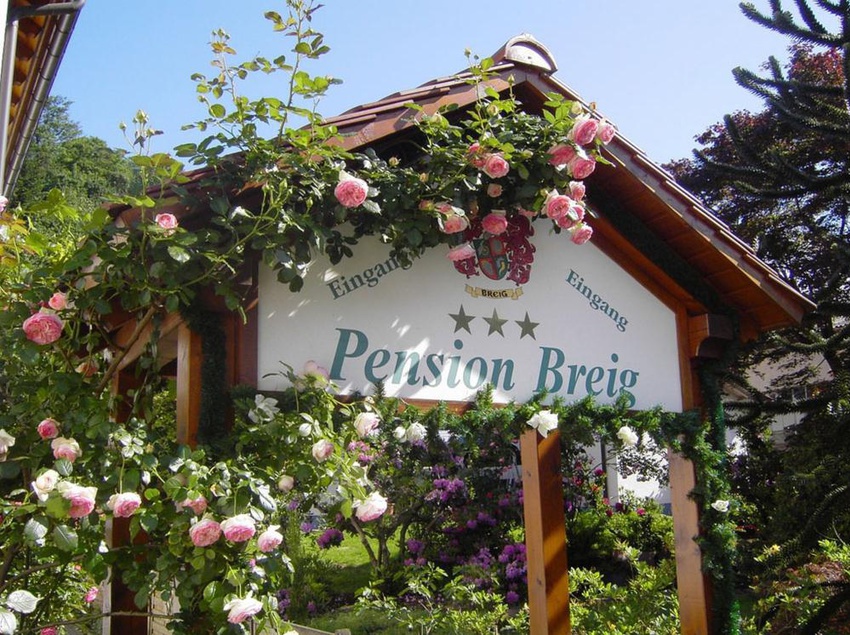 Hotel Pension Breig 8