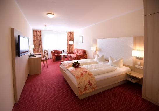 Hotel Alte Mühle Am Ried 3