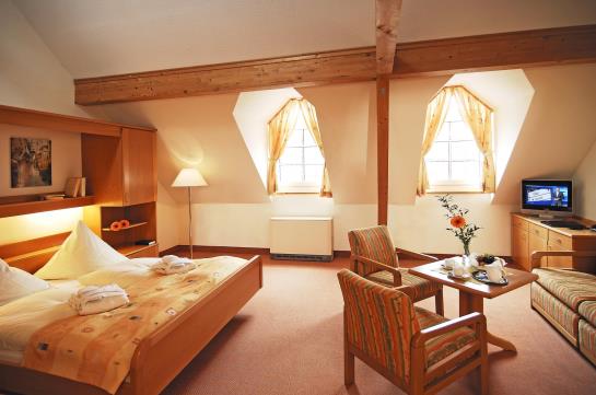 Hotel Alte Mühle Am Ried 4