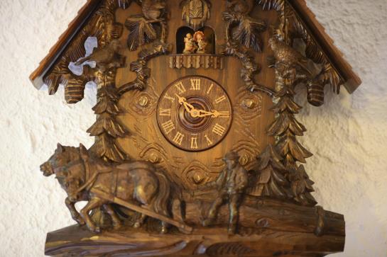 Höhenhotel-restaurant Kalikutt 8