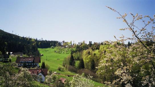 Höhenhotel-restaurant Kalikutt 9