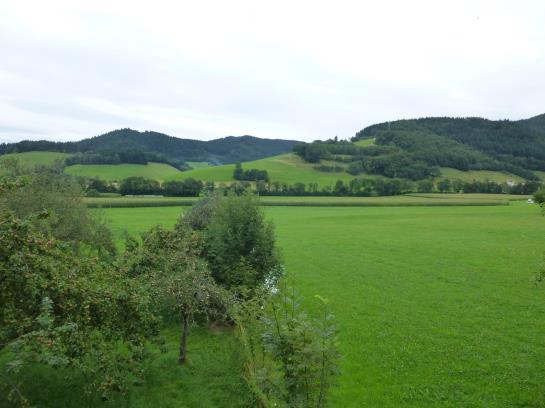 Hotel Zum Hirschen 12