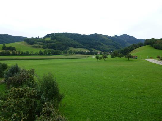 Hotel Zum Hirschen 13