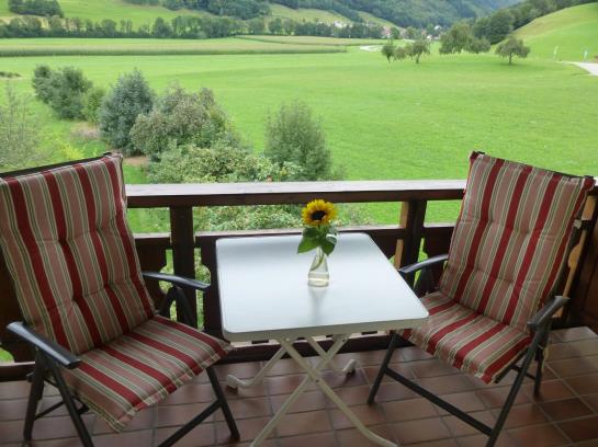 Hotel Zum Hirschen 18