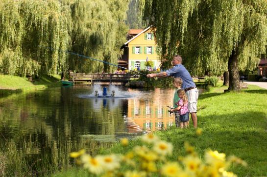 Hotel Zur Alten Mühle 5