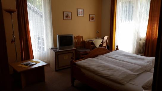 Hotel Waldschloß 12