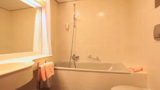 Hotel Adesso Schweizer Hof 11