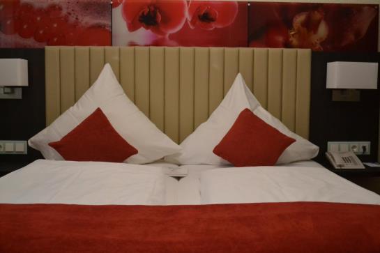 Hotel Stadt Heidelberg 5